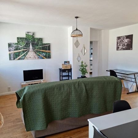 Appartamento LE BELVEDERE vue Pyrénées, familiale, centre TARBES Esterno foto